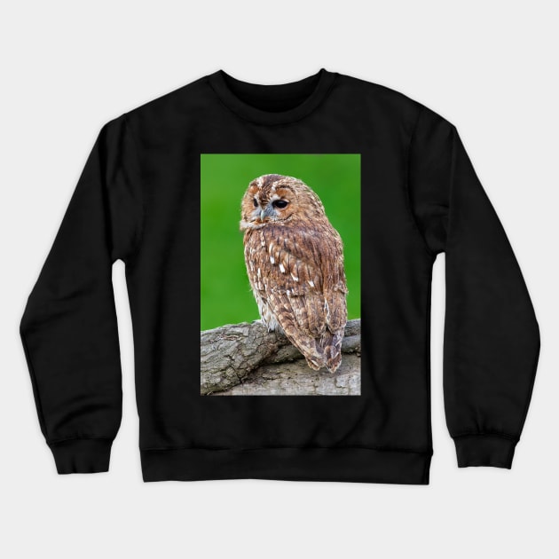 Tawny Owl Crewneck Sweatshirt by MartynUK